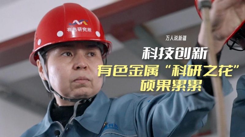 知识图谱搜索引擎：如何从海量信息中精准挖掘价值